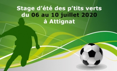 Stage d'été / Juillet 2020