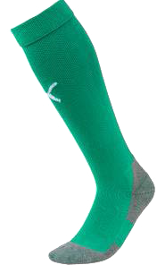 Chaussettes LIGA - Socks Core