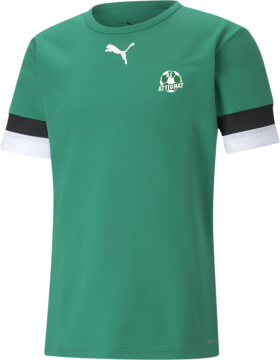 T-shirt TeamRise Jersey vert